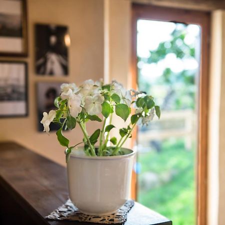 Torre Nel Chianti Bed & Breakfast Greve in Chianti Bagian luar foto