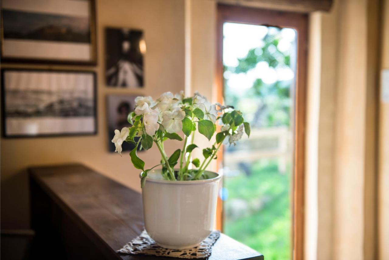 Torre Nel Chianti Bed & Breakfast Greve in Chianti Bagian luar foto